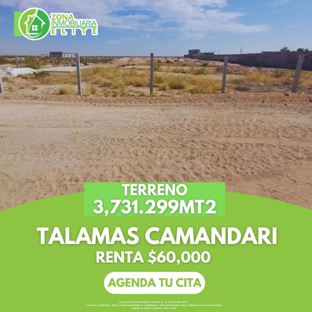 terreno talamas camandari